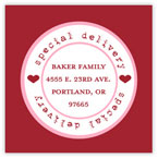 Take Note Designs Valentine's Day Address Labels - Special Delivery Red & Pink